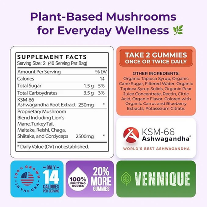 Pure Calm. Real Energy. With ACGVA™ Mushroom Ashwagandha Gummies.