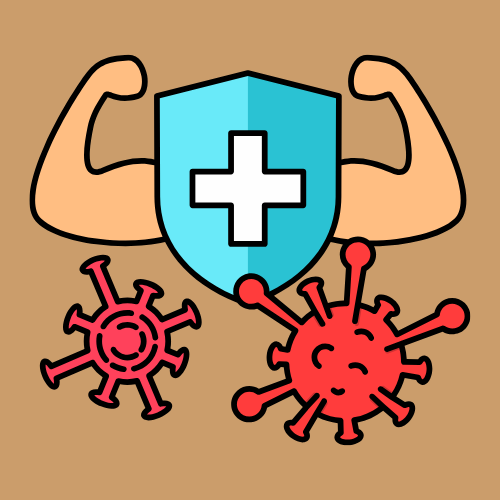 <p></p><h3><strong>Immune Balance</strong></h3><p></p>