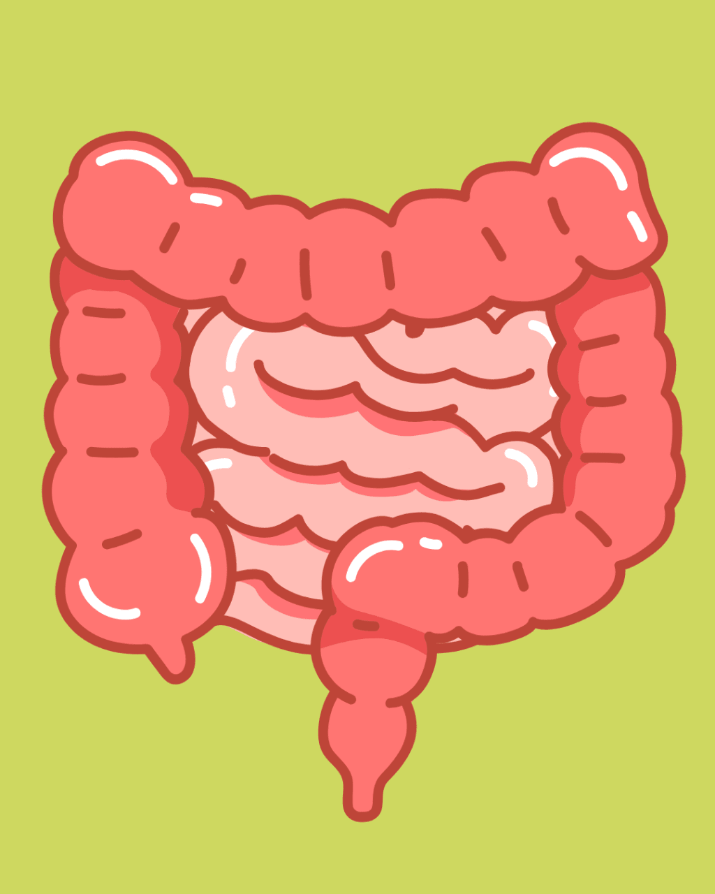 <p><strong>Improved Digestion</strong></p>